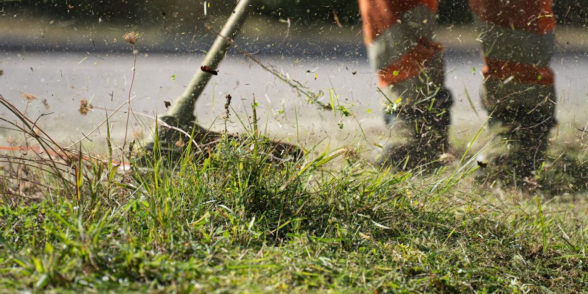 Garten im Herbst: Aufgaben für Hobbygärtner