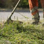 Garten im Herbst: Aufgaben für Hobbygärtner