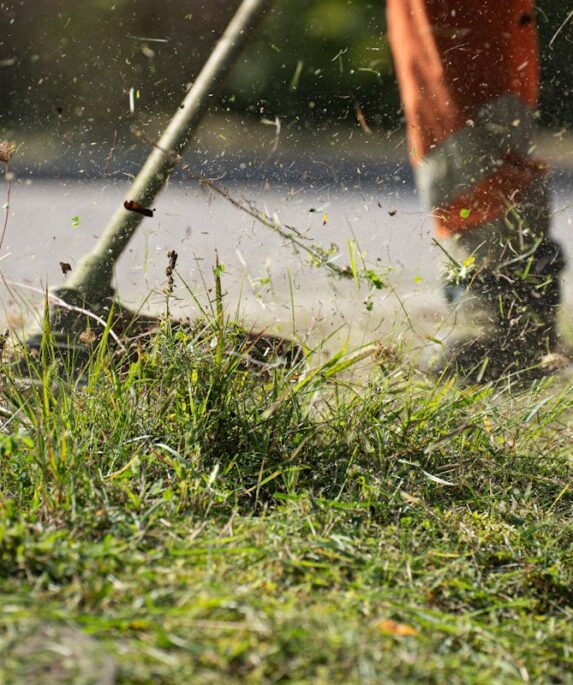 Garten im Herbst: Aufgaben für Hobbygärtner